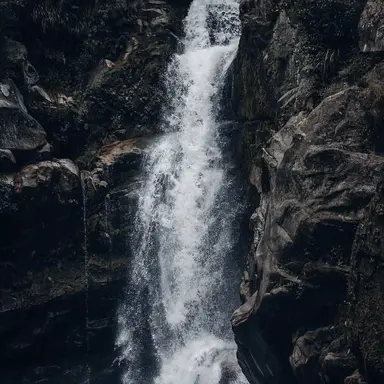 Profile image of 시현