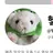 헿휘핑