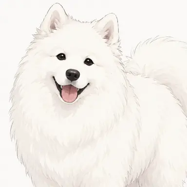 Profile image of まる