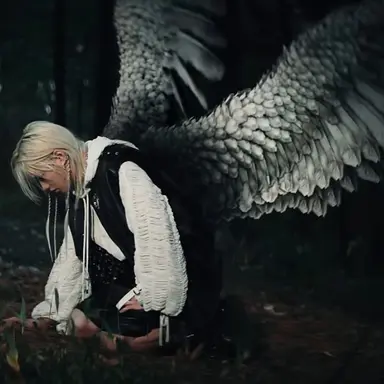 Profile image of Felix