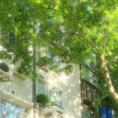 Profile image of 남유라