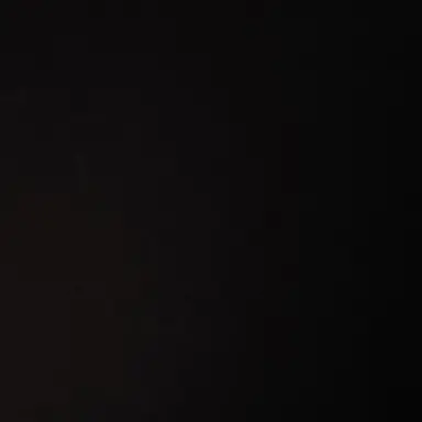 Profile image of 윤서진