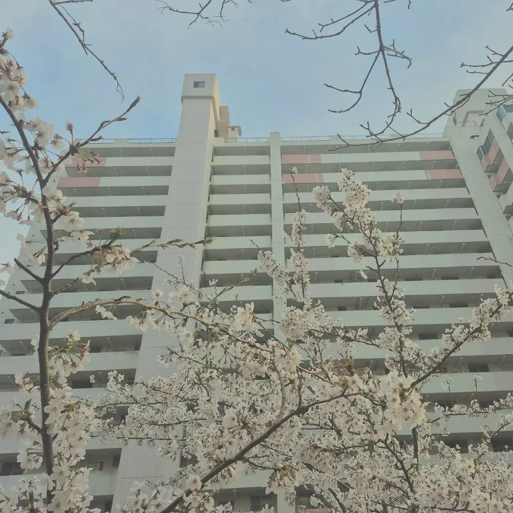KNA의 수인연구소