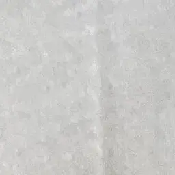 PoeticSash3751의 極道の姫