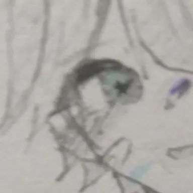 Profile image of ほとけ