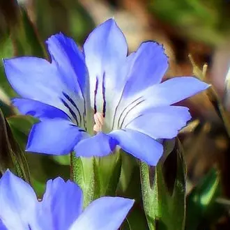 Profile image of サンヒョン