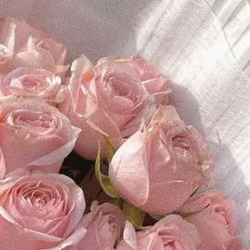 Profile image of サンウォン