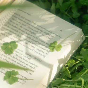 Profile image of 공룡