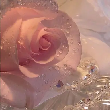 Profile image of 밥풀
