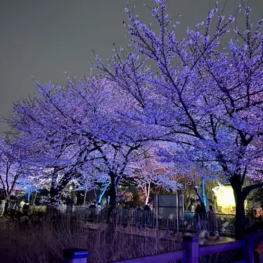 Profile image of 늑수대