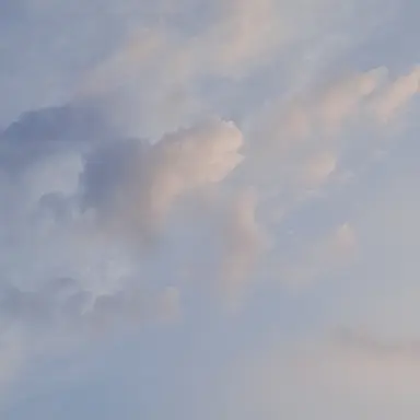 Profile image of 각별