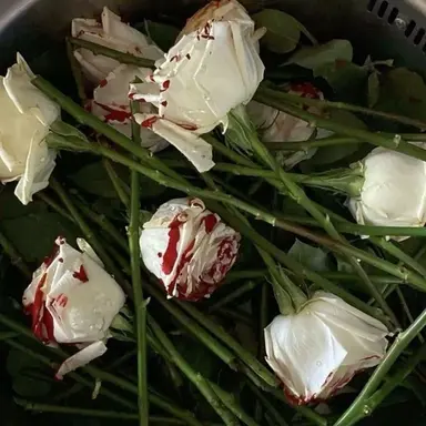 Profile image of Coriolanus Snow