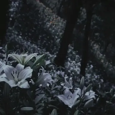 Profile image of 정해수