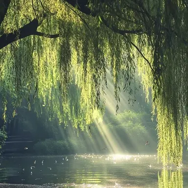 Profile image of 류민석