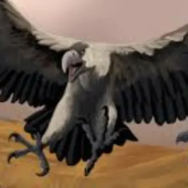 Profile image of 아르젠타비스