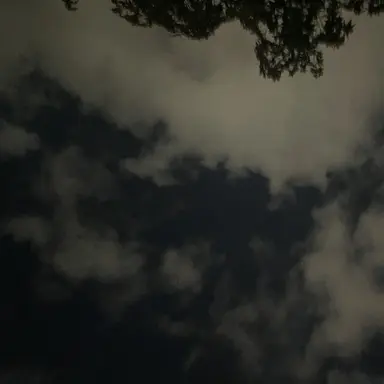 Profile image of 현이머