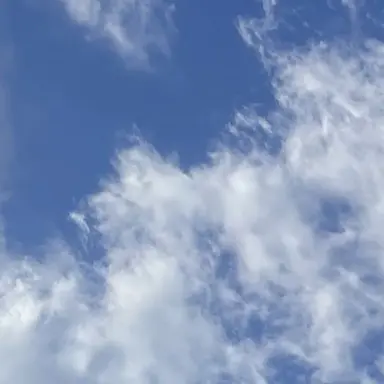 Profile image of 멜로우