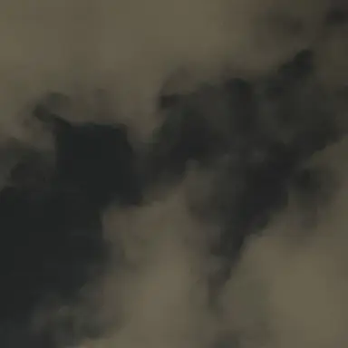 Profile image of 로희