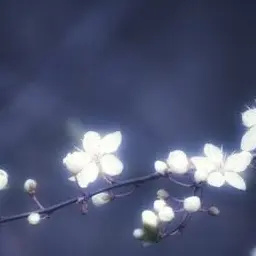 Profile image of 영짱