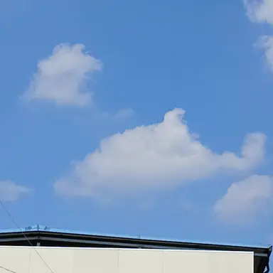 Profile image of 골계