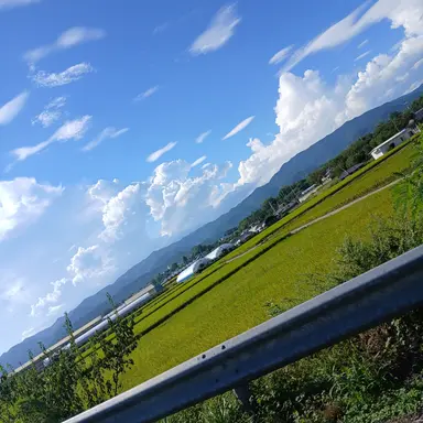 Profile image of 엄마