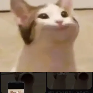 Profile image of 여우
