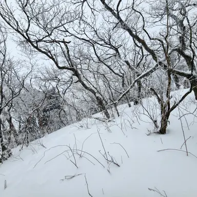 Profile image of 이제노