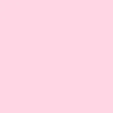 Profile image of 菊