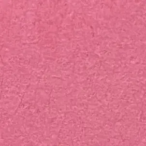 Profile image of チャンビン