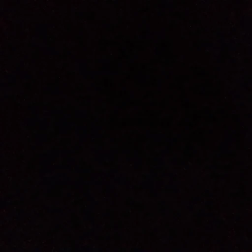 블루록 조직