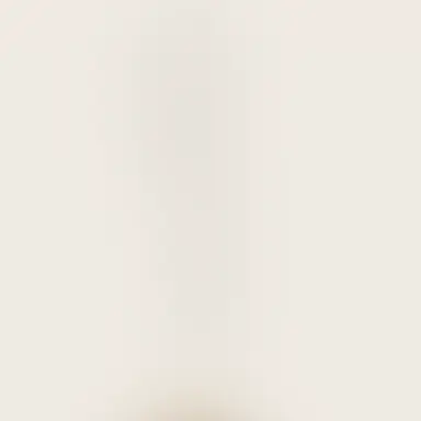 Profile image of 銀