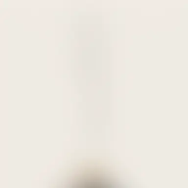 Profile image of 侑