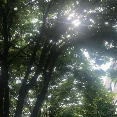 Profile image of 김일영