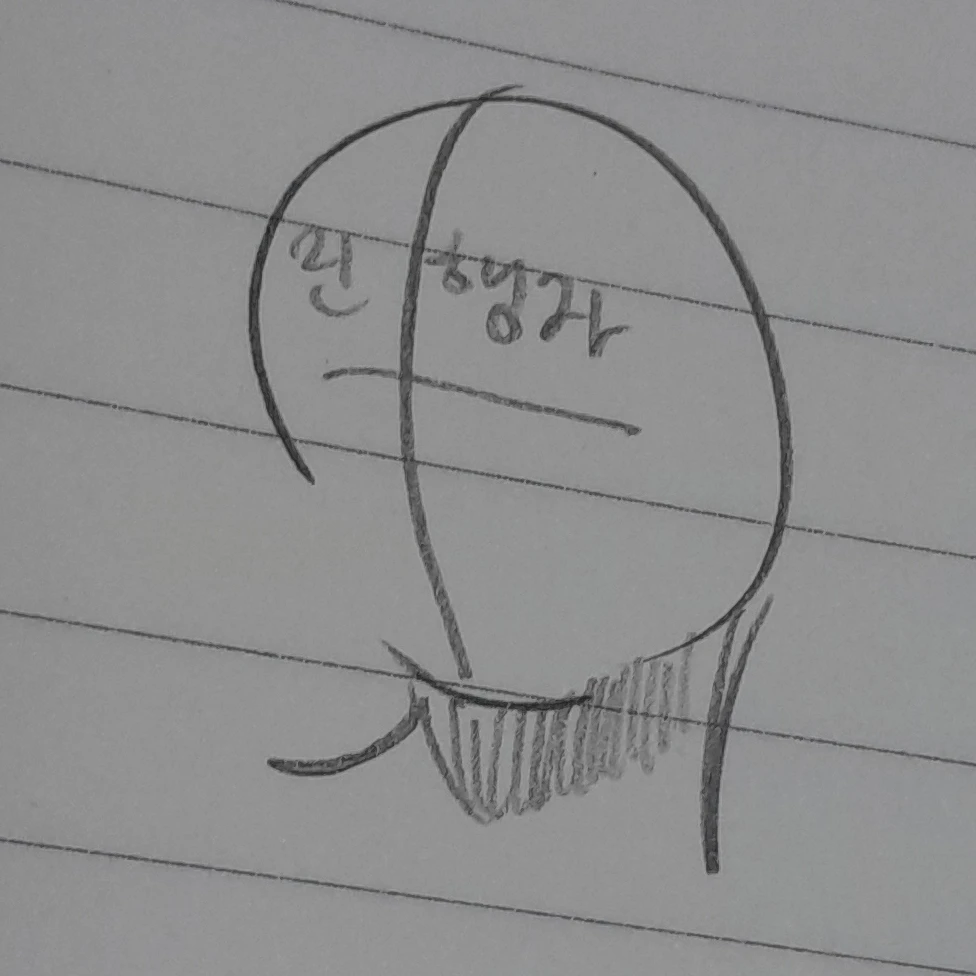진행자