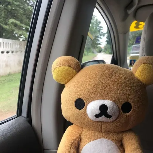 Ttongae의 딘히