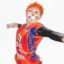 Profile image of 日向翔陽