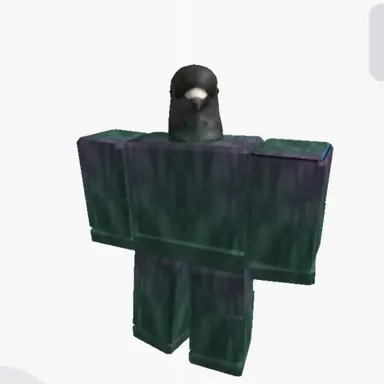 Profile image of 비둘기