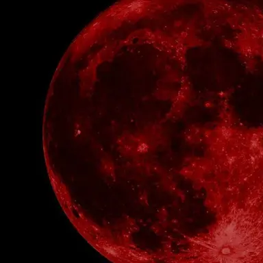 Profile image of 라더