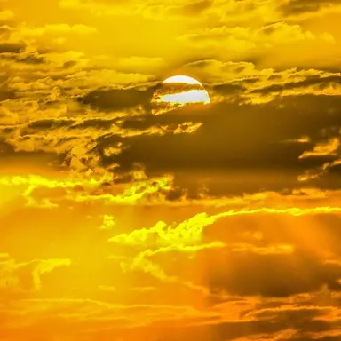 Profile image of 각별