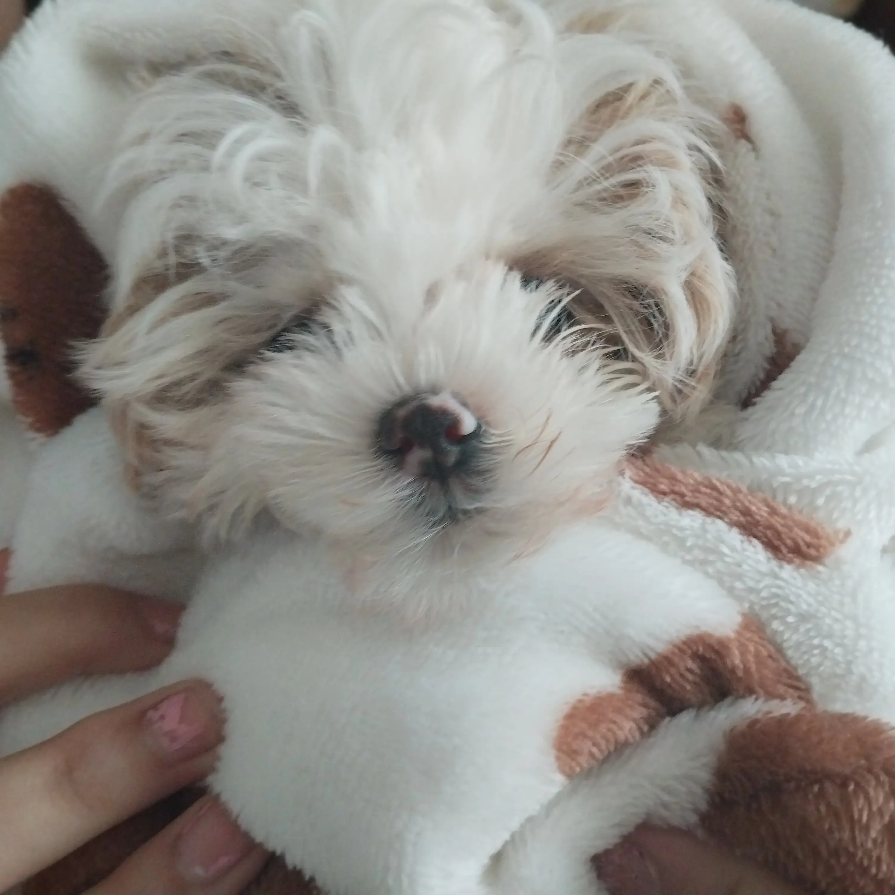HomelyMilk6279의 네이버