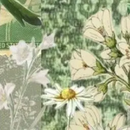 Profile image of 編集長