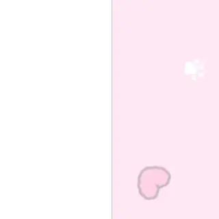 C0coa의 自分用   2