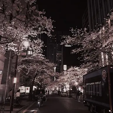 Profile image of 라더