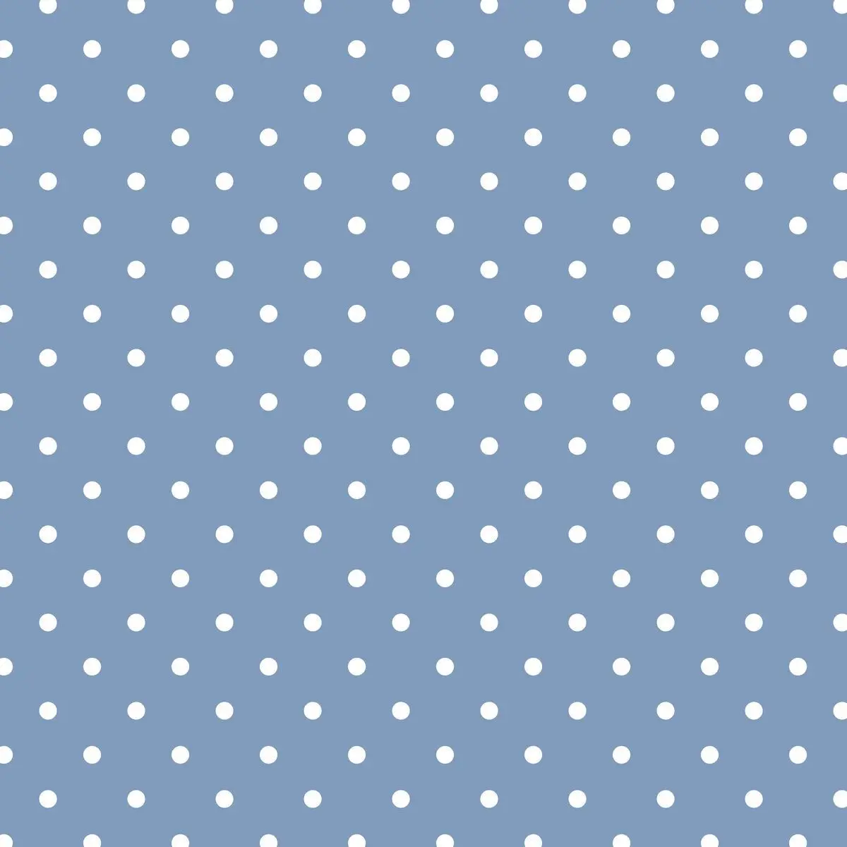 BaldPaint5683의 坂田 銀時