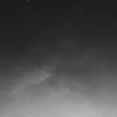 Profile image of 007n7