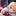 フランドール・スカーレット