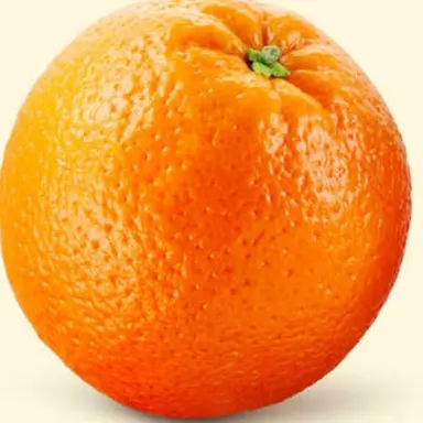 Profile image of 오렌지