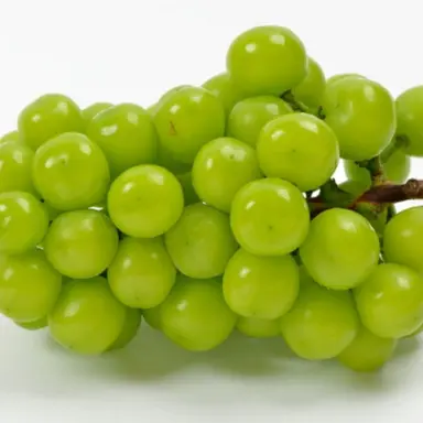 Profile image of 샤인머스캣