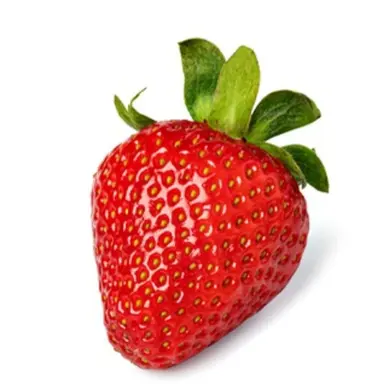 Profile image of 스트로베리