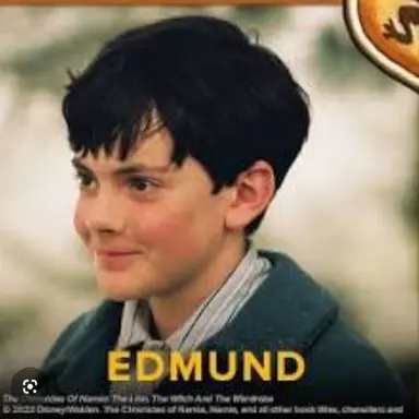 Profile image of Edmund Pevensie